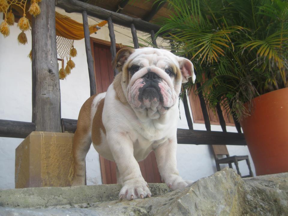 Hotel Terrazas De La Candelaria San Gil Kültér fotó
